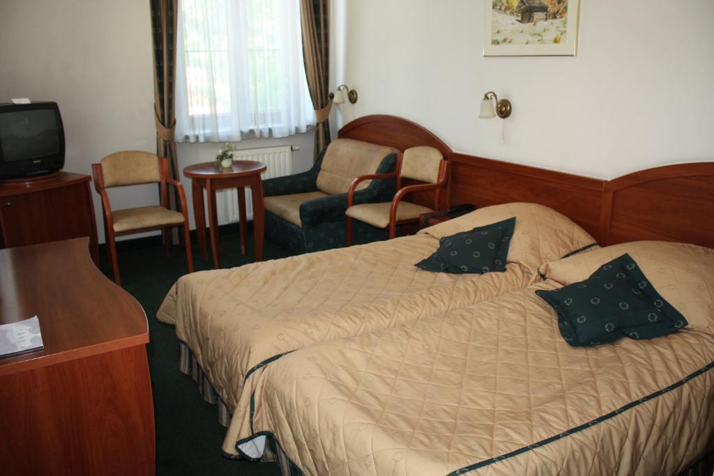 Hotel Saol Krynica Zdroj Oda fotoğraf
